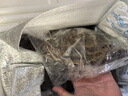 梭子蟹鮮活特大野生舟山大螃蟹海鮮新鮮冷凍海蟹水產(chǎn)飛蟹白蟹順豐 7-9兩/只 【凈重5斤特大梭子蟹】 曬單實拍圖