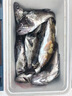 伊酷達（ECOODA）ETS200橫刺泛用水滴輪大釣力輕型近海船釣輪拉流底釣海釣輪鐵板輪 橫刺ETS 200L（6.6速比）左手輪 曬單實(shí)拍圖