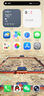 Apple 蘋(píng)果 iPhone 14 Pro (A2892)  二手手機 5G全網(wǎng)通 雙卡A16 暗紫色 256G 曬單實(shí)拍圖