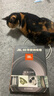 JBL TUNE 305C 有線耳機(jī) Type-C接口 半入耳式耳機(jī) 電腦耳機(jī) 適用于USB-C即插即用 藍(lán)色 曬單實(shí)拍圖