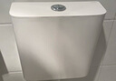 九牧（JOMOO）衛(wèi)生間家用水箱廁所配件節(jié)水大沖力按鍵雙檔速沖95027-01-3 曬單實拍圖