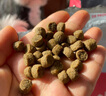 中國黃金平安鎖黃金手鏈寶寶款足金鎖紅繩嬰兒滿(mǎn)月周歲禮物送新生兒見(jiàn)面禮 平安鎖手鏈寶寶款【紅色禮盒】 曬單實(shí)拍圖