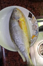 鴻順鮮凍黃花魚700g/2條 國(guó)產(chǎn)魚類 寧德大黃魚 生鮮 海鮮 曬單實(shí)拍圖