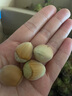 博爾改燒烤架家用煎烤燒烤架網(wǎng)便攜式戶外露營無煙烤肉爐燒烤架兩用 曬單實拍圖