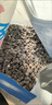 OIMG貓糧20斤10斤40斤大包海洋魚味成貓幼貓家貓流浪貓糧食5斤雞肉味 【挑食克星】營養(yǎng)乳鴿雞肉絨貓糧 2.5kg5斤（試吃） 曬單實拍圖