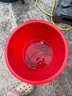 瑪威貝瑪威貝新款釣魚(yú)桶多功能可坐釣箱魚(yú)桶釣魚(yú)釣箱全套釣桶垂釣魚(yú)裝備 曬單實(shí)拍圖