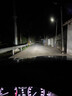 路泊斯特適用大眾POLO波羅LED大燈汽車改裝遠(yuǎn)近一體遠(yuǎn)光燈近光燈led車燈泡 POLO 12-20款【近光】2支裝 曬單實(shí)拍圖