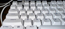 羅技（G）PRO X TKL RAPID/GPW RT快銀磁軸電競鍵盤(pán) FPS/無(wú)畏契約  RT快速觸發(fā)（白色） 曬單實(shí)拍圖