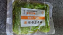 Yihai 億海裙帶菜 大連產干裙帶菜100g*1袋 高泡發(fā)免洗免切源頭直發(fā) 曬單實拍圖