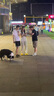 UNDER ARMOUR兒童舒適跑鞋男女童休閑透氣耐磨運動(dòng)鞋童鞋跑鞋 白色 38 曬單實(shí)拍圖