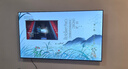 長虹電視75D66H 75英寸  144Hz高刷 云帆AI大模型 4+64GB大內(nèi)存 平板液晶電視機 以舊換新國家補貼20% 曬單實拍圖