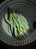 JCZS德國品牌紫光燈鑒定蔬菜檢藍礬藍光波爾多液熒光劑365nm紫外線(xiàn)檢 頂配款丨20W強光丨蔬菜全覆蓋檢 曬單實(shí)拍圖