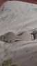 Valsace專業(yè)運動髕骨帶膝蓋關(guān)節(jié)護具髕骨固定帶護膝一對裝 曬單實拍圖