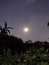 立邦 瓷磚修補(bǔ)劑瓷磚膠空鼓劑修復(fù)膠粘接劑松動修補(bǔ)瓷磚縫隙灌膠650ml 曬單實拍圖
