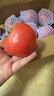 康田匯 陜西普羅旺斯水果西紅柿番茄沙瓤可生吃新鮮采摘新鮮蔬菜 2.5斤 泡沫托裝A級(jí)果凈2斤+ 源頭直發(fā) 曬單實(shí)拍圖
