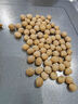 長(cháng)帝（changdi）【國家補貼】貓小易pro家用電烤箱風(fēng)爐平爐空氣炸42升大容量多功能烘焙炸烤一體機 曬單實(shí)拍圖