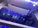 技研精工（JIYJNJINGGONG）魚缸客廳小型家用帶增氧桌面超白玻璃過濾免換水生態(tài)懶人魚缸240 曬單實拍圖