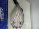 GUO LIAN國聯(lián)水產(chǎn) 酒香三去海鱸魚(yú)3條共2.4斤 海鮮魚(yú)類(lèi)水產(chǎn)生鮮源頭直發(fā) 曬單實(shí)拍圖