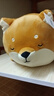 名創(chuàng)優(yōu)品（MINISO）柴犬系列毛絨公仔趴姿玩具娃娃抱枕睡覺室內臥室辦公室生日禮物 曬單實拍圖