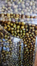 有機綠豆 2.3kg 2.3kg 曬單實拍圖
