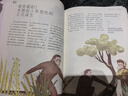【贈學(xué)習筆記】太喜歡歷史了！給孩子的簡(jiǎn)明中國史（全10冊）中國歷史故事集 【7-14歲】 寫(xiě)給兒童中國歷史 中信出版社圖書(shū) 曬單實(shí)拍圖