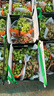 趣嘗鮮 山東羊脂秋月梨 凈重7斤禮盒 6-8枚 單枚400g起 水果 源頭直發(fā) 曬單實(shí)拍圖