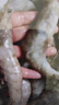 優(yōu)上鮮 蝦 青島大蝦鮮活冷凍基圍蝦 蝦類(lèi) 海鮮水產(chǎn)生鮮白蝦青蝦海蝦對蝦 3斤(凈重)  氣凍大蝦 15-19cm【特大號30/40規格】 曬單實(shí)拍圖