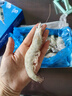 GUO LIAN國聯 生鮮鹽凍大蝦 無冰凈重3斤 鹽凍特大號45-60只 海產冷凍蝦 曬單實拍圖