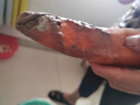 京喜加新鮮現(xiàn)挖現(xiàn)發(fā)胡蘿卜農(nóng)家自種蔬菜水果沙地紅蘿卜 帶泥胡蘿卜2斤 含箱 曬單實(shí)拍圖
