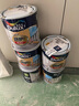 多樂士（Dulux）乳膠漆勁護(hù)無添加陽臺廚房衛(wèi)生間A8137小桶墻面漆油漆涂料 1L單桶 1L單桶 可調(diào)色（調(diào)色后不退換） 曬單實拍圖
