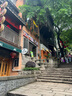京東跑山豬生態(tài)黑豬肋排凈重4斤 新鮮速凍 煲湯烤肉食材 曬單實拍圖