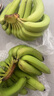 精品云南香蕉高山香蕉現(xiàn)摘新鮮水果甜生青香蕉banana自然熟綠皮 精品高山蕉 9斤 曬單實(shí)拍圖