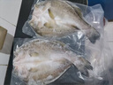 鮮京采三去海鱸魚3斤/3條 生鮮魚類 白蕉鱸魚地標(biāo) 無冰凈重3斤 源頭直發(fā) 曬單實(shí)拍圖