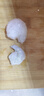 鯨口大開(kāi)新鮮大蝦仁現剝蝦仁新鮮白蝦仁鮮凍冷凍蝦仁大號開(kāi)背蝦仁2斤凈重 特大蝦仁【約8-10厘米】 2斤(凈重) 曬單實(shí)拍圖