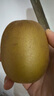 佳沛（zespri）新西蘭陽光金果6個裝巨大果單果144-175g水果獼猴桃源頭直發(fā) 曬單實拍圖