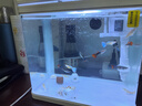 森森（SUNSUN）魚缸水族箱生態(tài)桌面金魚缸玻璃小型客廳制氧過濾免換水家用缸 高清玻璃 230白色標配 （帶20件套） 曬單實拍圖