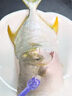 賣(mài)魚(yú)郎先生 國(guó)產(chǎn)活凍金鯧魚(yú)凈重2斤/2條裝 深海魚(yú) 生鮮 魚(yú)類(lèi)海鮮水產(chǎn) 曬單實(shí)拍圖