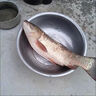 NT80魚(yú)線(xiàn)主線(xiàn)子線(xiàn)拉力柔軟尼龍釣魚(yú)德國高端原絲漁線(xiàn)漢諾威 透明子線(xiàn)【高端魚(yú)線(xiàn) 單卷裝】 0.8號 曬單實(shí)拍圖