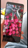 小米REDMI note15pro+ 國家補貼 第四代驍龍7s 7000mAh 龍晶玻璃十倍抗摔 IP68防水 紅米 5G智能手機 煙霞紫 16GB+512GB 官方標配 曬單實(shí)拍圖