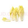 【嫩芽尖尖】娃娃菜苗（長(zhǎng)度≤12cm）250g 曬單實(shí)拍圖