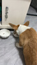 皇家狗糧 幼犬狗糧幼犬奶糕寵物中型犬MEJ32 全價犬糧 2-12月 4KG 曬單實拍圖