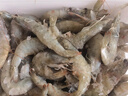 海云馨蝦活蝦速凍生鮮青島大蝦海蝦海鮮水產(chǎn)鮮活冷凍凍蝦超大白蝦 14-17cm整箱 3斤(凈重)  【店鋪推薦】 曬單實(shí)拍圖