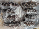 山姆 冷凍即食海參 500g 500g 曬單實拍圖