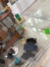 樂高（LEGO）21263 荒地礦井 我的世界創(chuàng)意游戲男女孩拼搭積木玩具生日禮物 曬單實拍圖