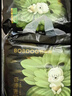 巴布豆（BOBDOG）【老爸抽檢】奇跡奢寵褲嬰兒拉拉褲XXXL碼36片（18-23kg)植萃舒敏 曬單實拍圖