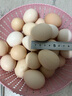谷物鮮雞蛋 農(nóng)戶散養(yǎng)新鮮雞蛋 單枚40g±5 30枚（40克/枚） 曬單實(shí)拍圖