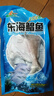 (無(wú)冰水半斤一條)新鮮生東海白鯧魚(yú)銀鯧魚(yú)海鯧魚(yú)平魚(yú)鯧扁魚(yú) 500g 4斤裝共8條（無(wú)冰水） 曬單實(shí)拍圖
