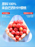 養(yǎng)生堂天然VC200片咀嚼片 補(bǔ)充維c vc增強(qiáng)免疫力 針葉櫻桃0添加 曬單實(shí)拍圖