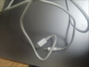 原裝適配A2338蘋果13寸MacBook Pro筆記本A2251電腦61W充電器A228 蘋果61w雙C線  2米 曬單實拍圖