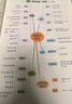 陽光同學(xué) 2025秋新版 同步作文小達(dá)人 三年級(jí)上冊(cè)語文人教版 小學(xué)生三年級(jí)作文書上冊(cè)同步寫作范文作文書大全寫作技巧專項(xiàng)訓(xùn)練 曬單實(shí)拍圖